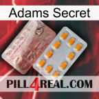 Adams Secret new13